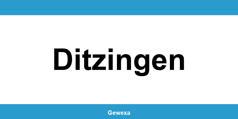 Gewerbeamt Ditzingen – Termin online zur Gewerbeanmeldung